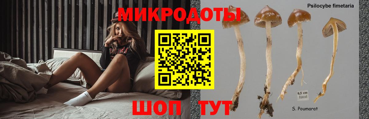 Псилоцибиновые грибы мицелий  Псилоцибиновые грибы GOLDEN TEACHER  Луховицы  Вход с VPN 